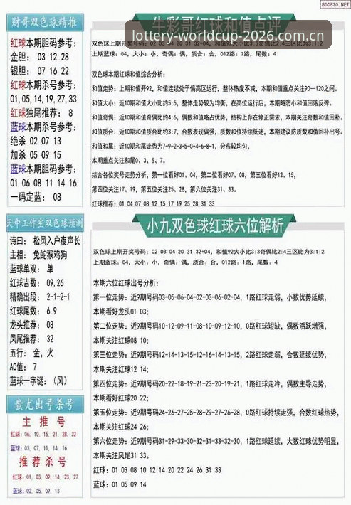 世界杯官方彩票网站 2026世界杯官方彩票网站全面解析:从新手到高手的购彩指南